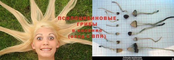 2c-b Навашино