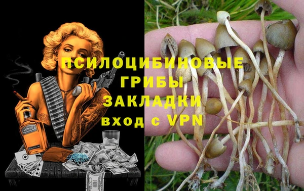 прущая мука Нефтегорск