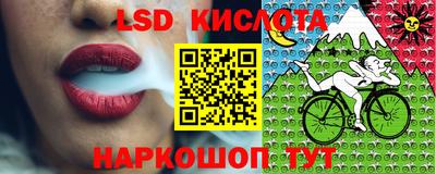 наркотики Гатчина