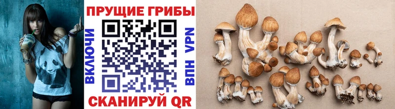Псилоцибиновые грибы Magic Shrooms  купить наркотик  Красноуфимск 
