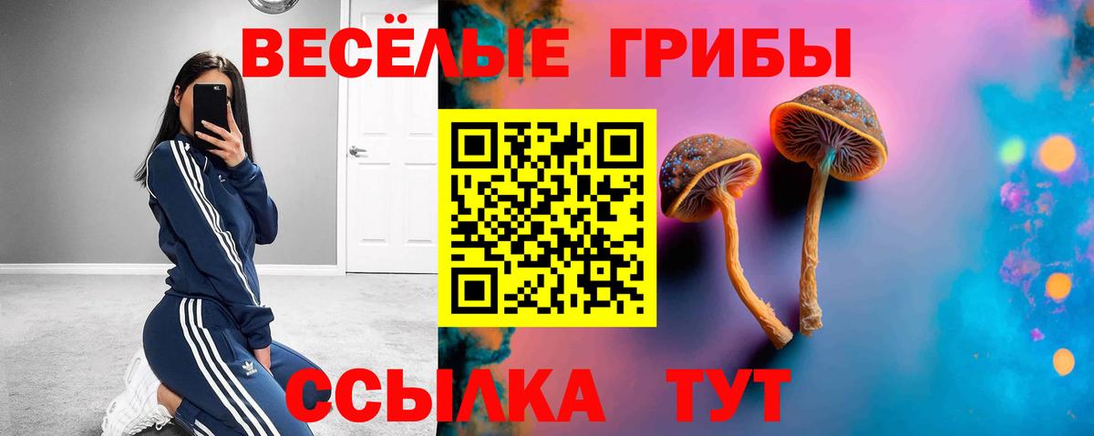 Галлюциногенные грибы Magic Shrooms Красноуфимск